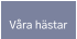 Våra hästar